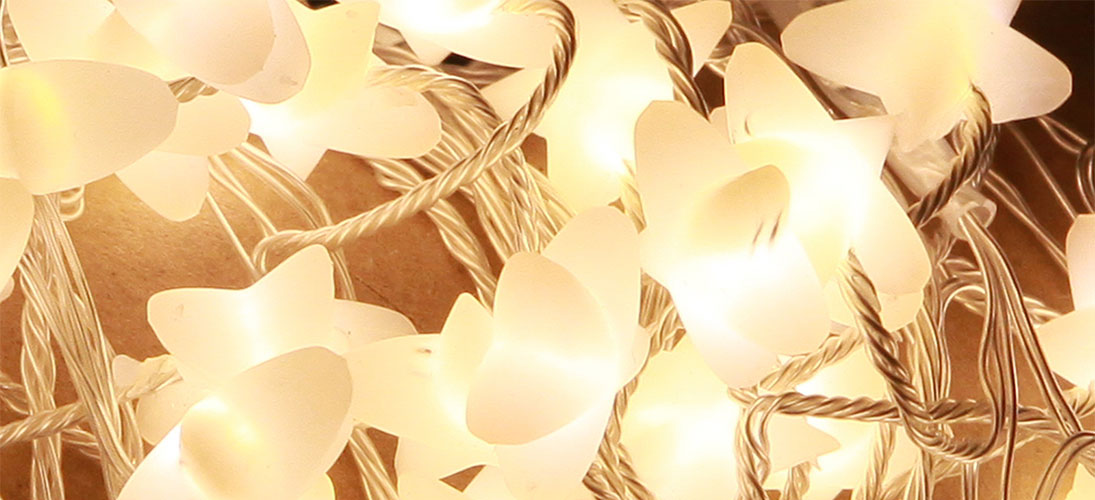 LED fėjų lemputės