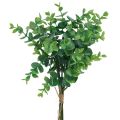 Floristik24 Dirbtinės eukalipto šakos dirbtiniai augalai žalia 34cm 6vnt