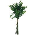 Floristik24 Dirbtinės eukalipto šakos dirbtiniai augalai žalia 34cm 6vnt