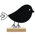 Floristik24 Dekoratyviniai paukščiai juodi mediniai paukščiai mediniai dekoravimo spyruoklė 13,5cm 6vnt