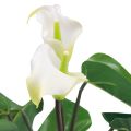 Floristik24 Calla Lely Kalla Dirbtinės Gėlės Baltos Egzotiškos Gėlės 34cm