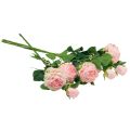 Floristik24 Dirbtinės rožės Rožinės Dirbtinės rožės Dry Look 53cm 3vnt