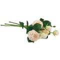 Floristik24 Dirbtinės rožės kremas Artificial Roses Dry Look 53cm 3vnt