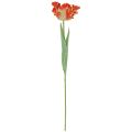 Floristik24 Dirbtinė gėlė papūga tulpė dirbtinė tulpė oranžinė 69cm