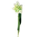Floristik24 Dirbtinė gėlė papūga tulpė dirbtinė tulpė žalia balta 69cm