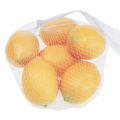 Floristik24 Dirbtinės citrininės dekoratyvinės maistinės manekenės 8cm 6vnt