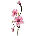 Floristik24 Dirbtinė gėlė magnolijos šakelė magnolija dirbtinė rožinė 59cm