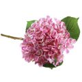 Floristik24 Hortenzija dirbtinė rožinė dirbtinė gėlė rožinė Ø15,5cm 45cm