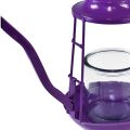 Floristik24 Žibintuvėlis stiklinis žibintuvėlis arbatinukas violetinis Ø13cm H22cm