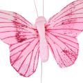 Floristik24 Dekoratyviniai drugeliai ant vielos spalvingos plunksnos 5,5×8cm 12vnt