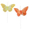 Floristik24 Dekoratyviniai drugeliai ant vielinių plunksnų oranžinė geltona 7×11cm 12vnt