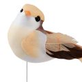 Floristik24 Plunksninis paukštis ant vielos, dekoratyvinis paukštis su plunksnomis oranžinės rudos spalvos 4cm 12vnt