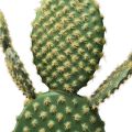 Floristik24 Dekoratyvinis kaktusas dirbtinis vazoninis augalas opuncija 64cm