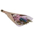 Floristik24 Džiovintų gėlių puokštė šiaudinės gėlės Phalaris grūdėtumas 58cm