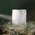 Ledinių gėlių purškiklis Dekoratyvinis purškiklis langams ir žiemos dekoracijoms ant stiklo 150 ml | Floristik24.lt