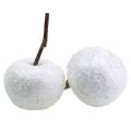 Floristik24 Dekoratyviniai obuoliai balti su blizgučiais 5,5–6,5cm 12vnt