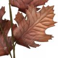 Floristik24 Klevas dirbtinis augalas klevo lapai dekoratyvinis augalas rudeninis lapas 74cm