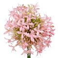 Floristik24 Allium dirbtinė rožinė 51cm