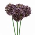 Floristik24 Dekoratyvinis svogūnas Allium dirbtinis violetinis Ø7cm H58cm 4vnt