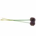 Floristik24 Dekoratyvinis svogūnas Allium dirbtinis alyvinis 70cm 3vnt