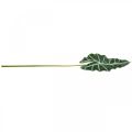 Floristik24 Dirbtinis strėlės lapas dirbtinis augalas alocasia deco green 74cm
