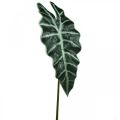 Floristik24 Dirbtinis strėlės lapas dirbtinis augalas alocasia deco green 74cm