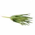 Floristik24 Aloe Vera dirbtinis žalias 26cm