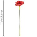 Dirbtinė amarilės gėlė, raudona, ilgakotė, vazai ir kompozicijai, 77 cm | Floristik24.lt
