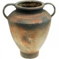 Floristik24 Amphora antikvarinė išvaizda sodinimui skirta vaza metalinė sodo puošmena H29cm