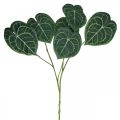 Floristik24 Dirbtiniai anturio lapai netikri augalų žali 96 cm