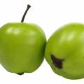 Floristik24 Dekoratyvinis vaisinis mini obuolys dirbtinis žalias 4,5cm 24vnt