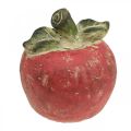 Floristik24 Dekoratyvinis obuolys, ruduo, stalo apdaila, betonas H17cm Ø15cm