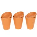 Floristik24 „Aquasafe“ vandens rezervuaras su vabzdžių girdykla sodui, balkonui, terasai, 12 cm, 3 dalys