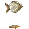 Floristik24 Medinis metalinis dekoratyvinis žuvis jūrinis žalvaris 33x11,5x37cm