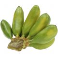 Floristik24 Kūdikių bananų daugiametis dirbtinis žalias 13cm