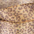 Leopardo rašto dovanų juostelė