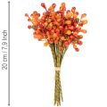 Oranžinių uogų kekė, 20 cm ilgio | Floristik24.lt