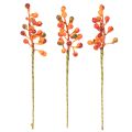 Oranžinių uogų kekė, 20 cm ilgio | Floristik24.lt