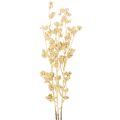 Floristik24 Dirbtinės uogų šakelės dekoracija, auksinė, 70 cm, 3 dalys
