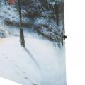 Floristik24 LED freska žiemos peizažas su namu 38×28cm Akumuliatoriui
