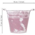 Skardinis kibirėlis, violetinės ir baltos spalvos, Ø19cm, aukštis17cm, 1 vnt. | Floristik24.lt