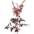 Floristik24 Dirbtinė gėlė Astilbe ilgakotė spindesys 80cm