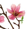 Floristik24 Magnolia mini rožinė, rožinė L53cm 3vnt