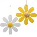 Floristik24 Mediniai žiedai, vasarinė puošmena, ramunės geltonos ir baltos spalvos, dekoratyvinės gėlės pakabinimui 4vnt.