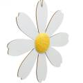 Floristik24 Mediniai žiedai, vasarinė puošmena, ramunės geltonos ir baltos spalvos, dekoratyvinės gėlės pakabinimui 4vnt.