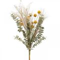 Dirbtinės gėlės Craspedia plunksnų žolė eukaliptas 55cm kekė