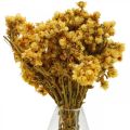 Floristik24 Mini šiaudinė gėlė geltona džiovintų gėlių puokštė sausa puokštė H20cm 15g