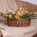 Floristik24 Gėlių krepšelis, krepšelis sodinimui, gėlių dekoravimas natūralus L31cm A11,5cm
