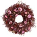 Floristik24 Gėlių vainikas, džiovintų gėlių vainikas, vyno raudonumo, rožinis, Ø25cm