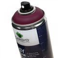 Floristik24 OASIS® Easy Color Spray, dažų purškiklis Erika 400ml